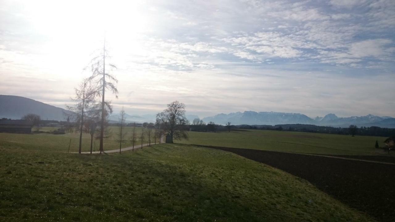Ferienwohnung An Der Idyllischen Salzachschleife Naehe Salzburg ラウフェン エクステリア 写真